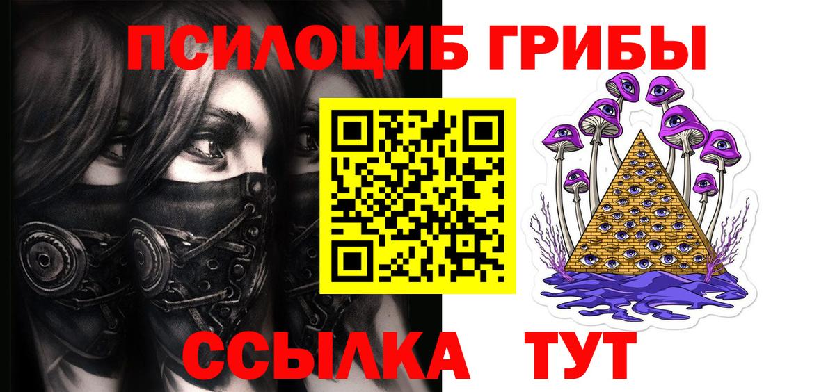 Псилоцибиновые грибы мухоморы  Вход с VPN  где найти наркотики  Дзержинск  Псилоцибиновые грибы Psilocybe 
